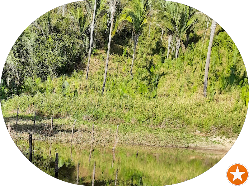 Foto 6 de Oral Sin Implantes I Dentista em São Luís I Unidade Cohama