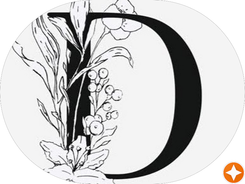 Foto 4 de Oral Sin Implantes Mogi das Cruzes