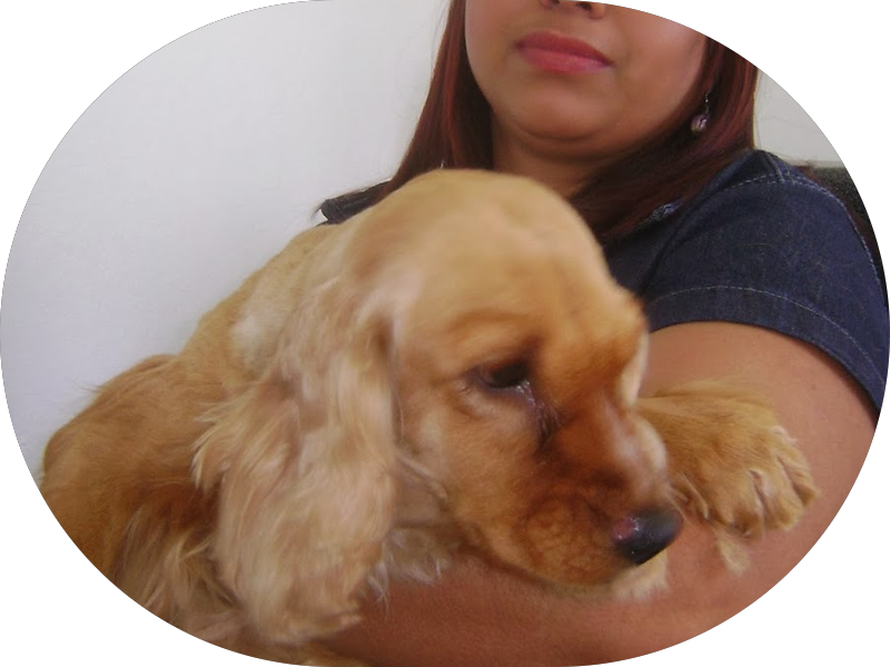 Foto 5 de Oral Sin Implantes Pampulha