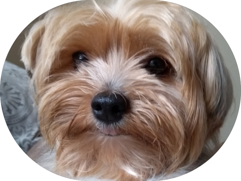 Foto 3 de Oral Spa Concept