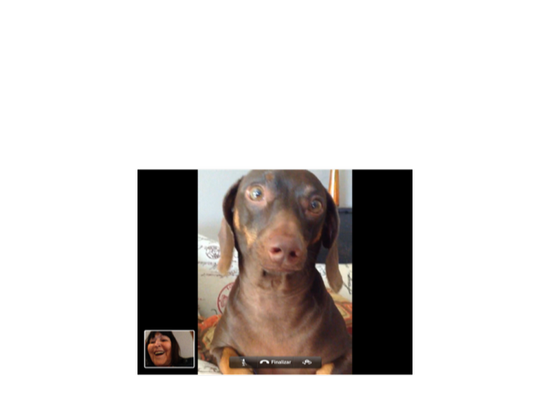 Foto 4 de Oral Unic Implantes Osasco