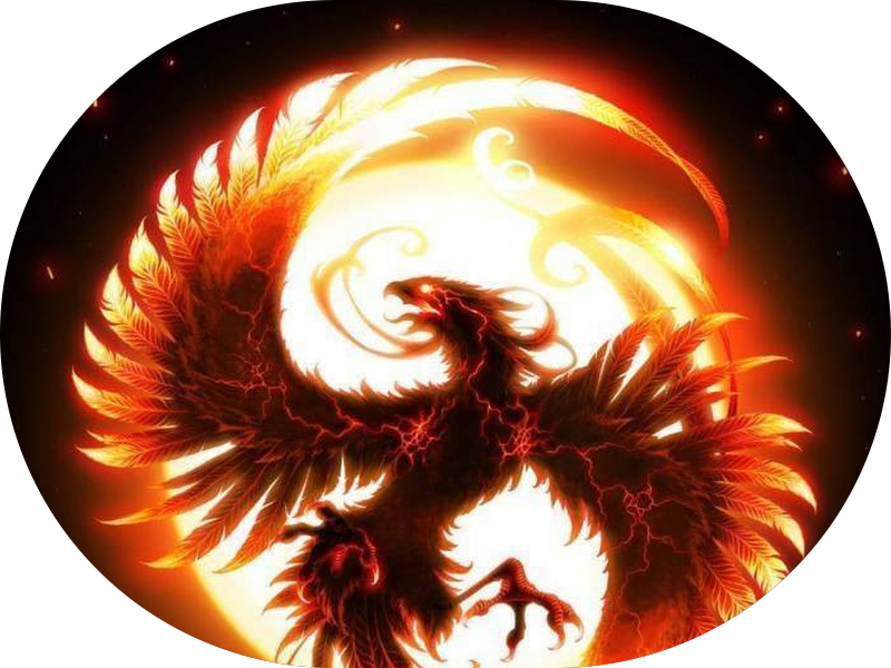 Foto 5 de Oral Unic Implantes Pelotas