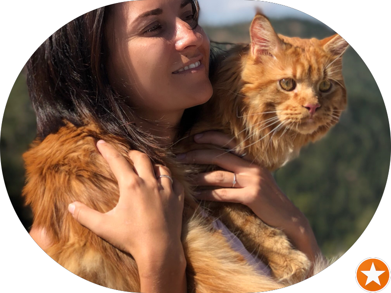 Foto 5 de Oral Unic Implantes São José