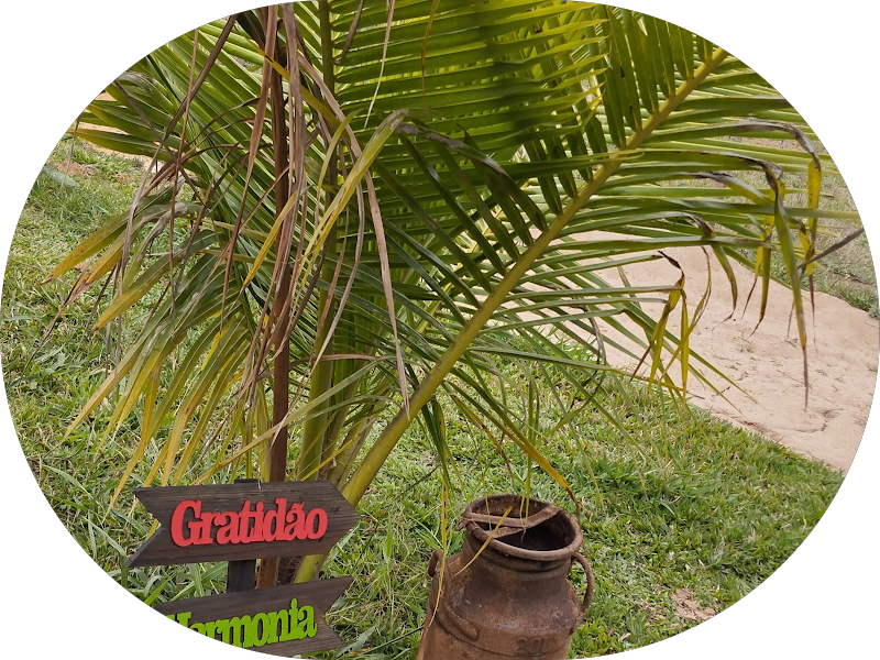 Foto 4 de OralFace - Ipatinga