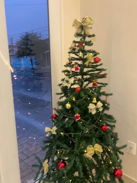 Foto 5 de OralFranca