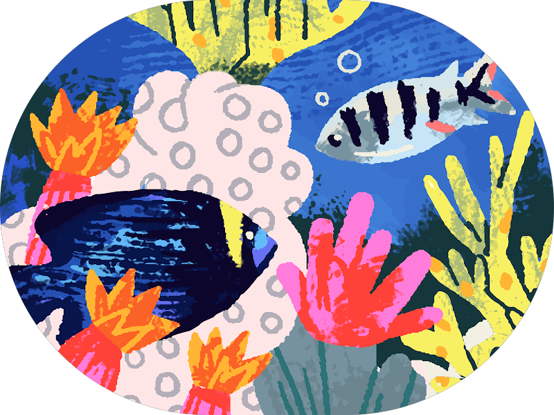 Foto 5 de OralVix Clinica Odontologica em Jacaraípe – Serra ES