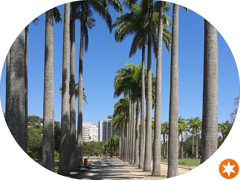 Foto de Orcelo V S César