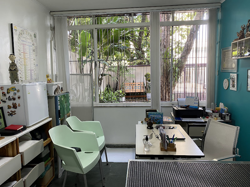 Foto 7 de Origami Vet