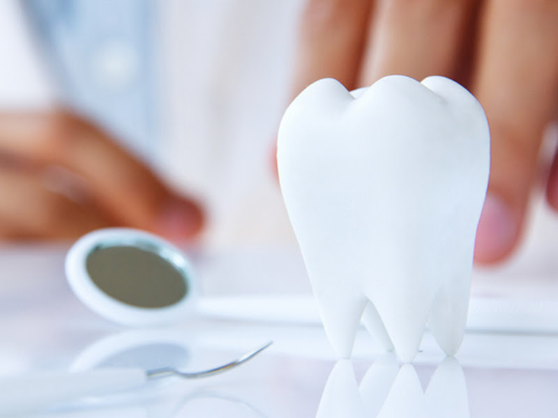 Foto 3 de Ortho Dental