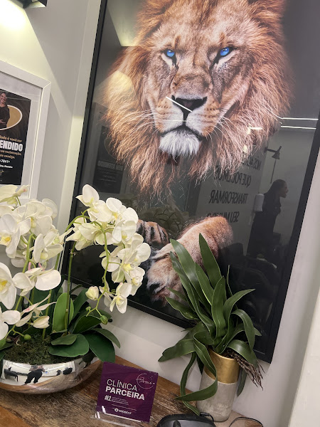 Foto 3 de Ortho Vitta Implantes