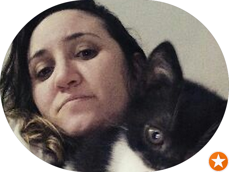 Foto 5 de Orthodents - Passo Fundo