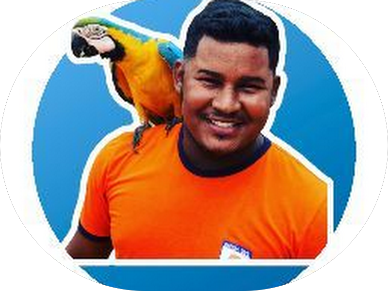 Foto 5 de OrthoDontic