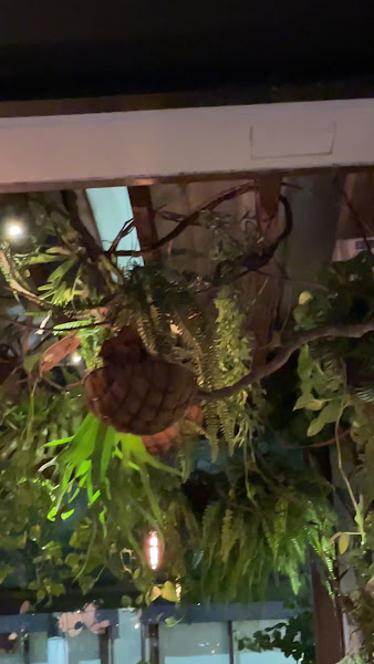 Foto 3 de Orthomaia - Ortodontia e Ortopedia Facial