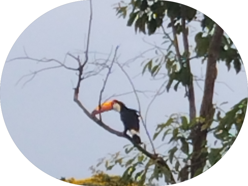 Foto 3 de Orthopride Cachoeiro