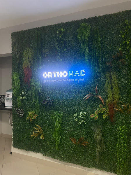 Foto 2 de ORTHORAD RADIOLOGIA ODONTOLÓGICA - UNIDADE SÃO BERNARDO DO CAMPO