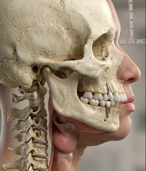 Foto 3 de ORTHORAD RADIOLOGIA ODONTOLÓGICA - UNIDADE SÃO BERNARDO DO CAMPO