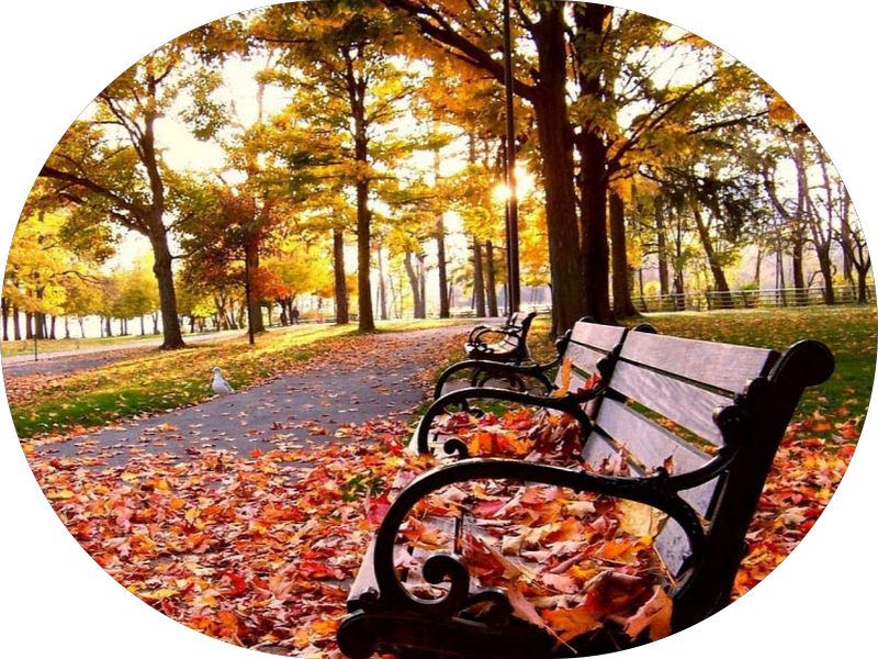 Foto 3 de Orthos - Ortopedia e Traumatologia