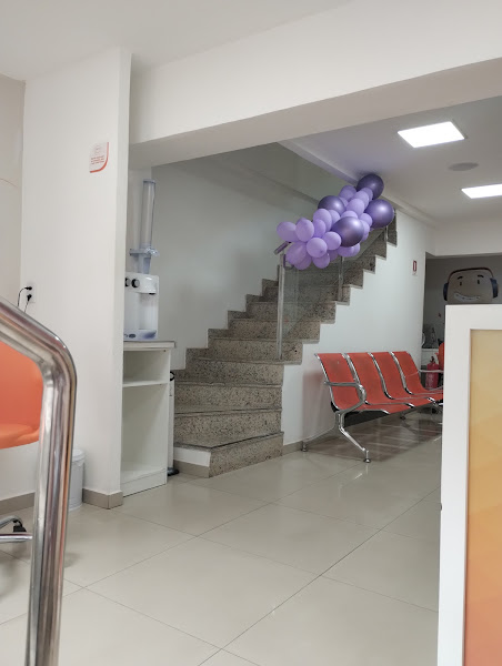 Foto 2 de Orto Belém