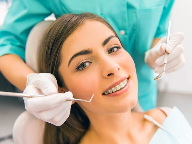 Foto 2 de Orto & Cia