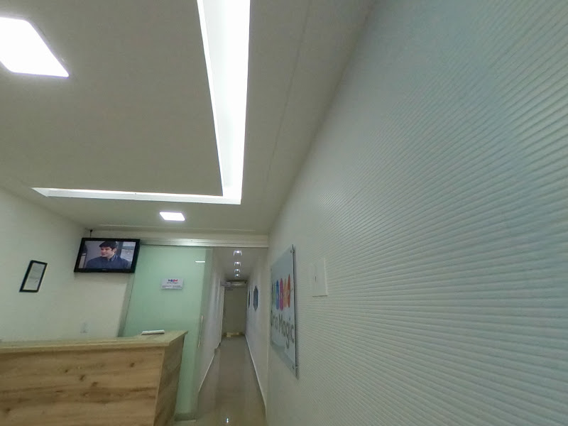 Foto 5 de Orto Magic