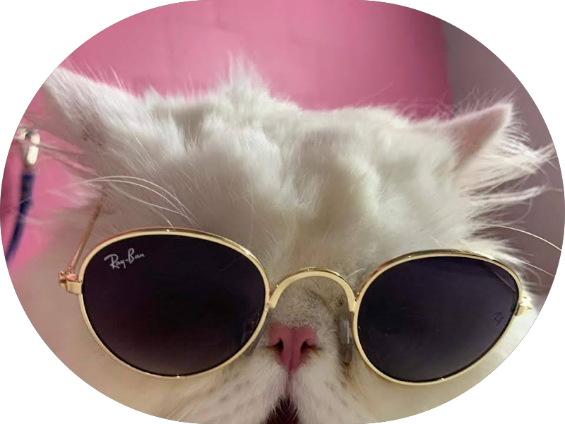 Foto 3 de Ortoclínica Odontologia