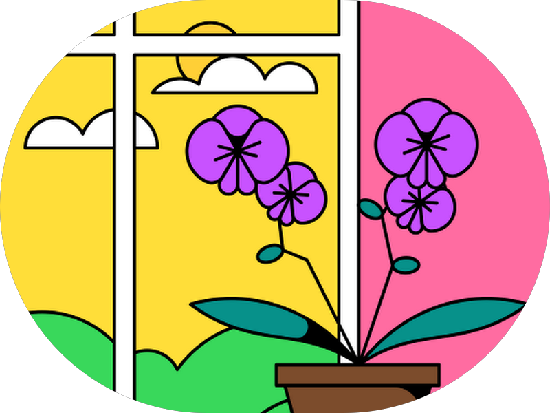 Foto 7 de Ortodontia PON - Clínica odontológica, aparelho ortodôntico e Implantes dentários em Juiz de Fora