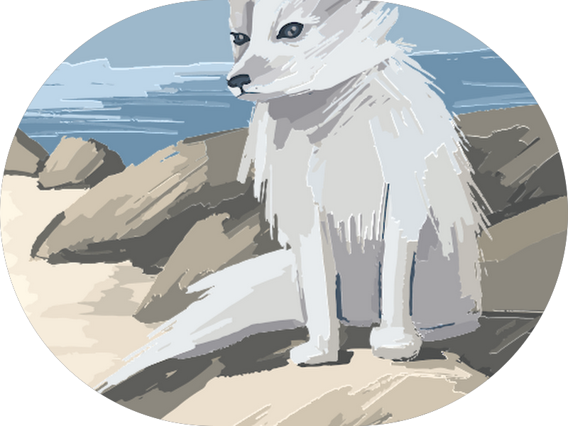 Foto 5 de Ortoestética: Harmonização Facial, Clareamento Dental, João Pessoa PB