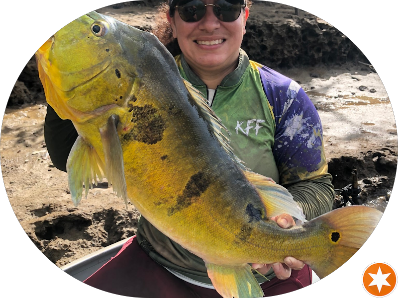 Foto 5 de Ortoestética Marco