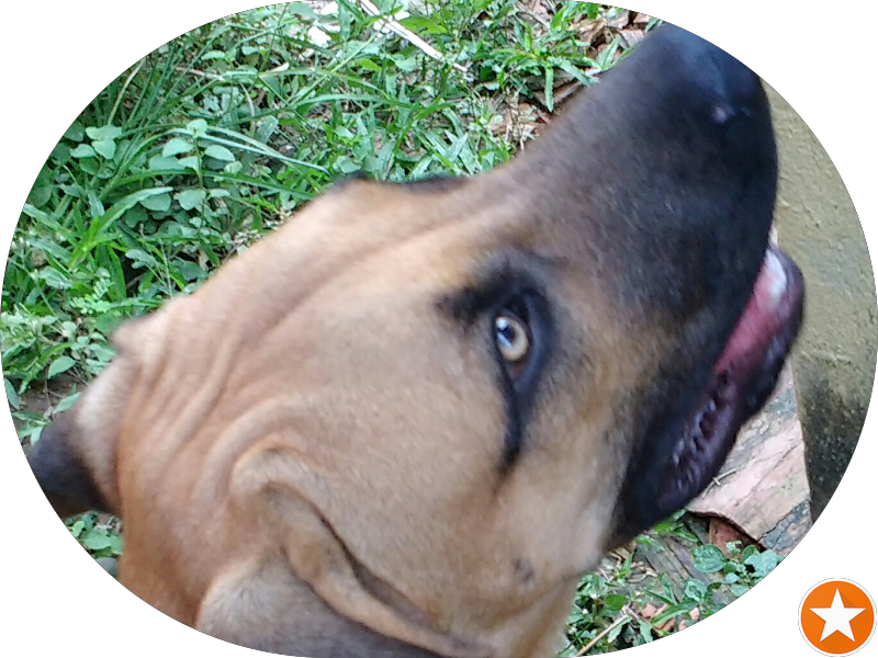 Foto 7 de Ortofácil Clínica Odontológica | Implantes dentários e Estética facial - Manaus/AM