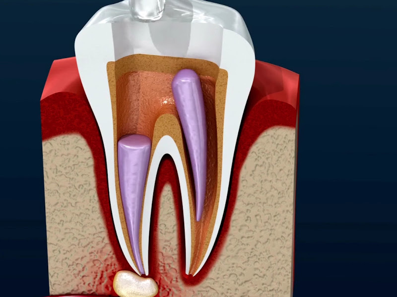 Foto 5 de Ortofit Realengo