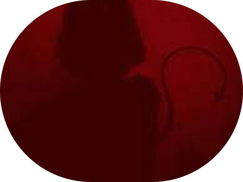 Foto 5 de ORTOLOOK Nova Iguaçu - Clínica Odontológica