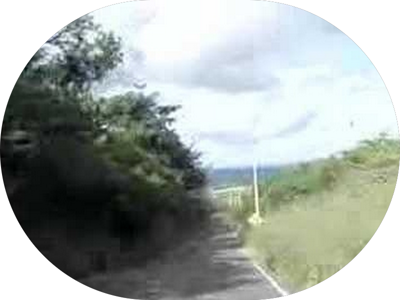 Foto 2 de Ortomaxi Serviços Odontológicos LTDA