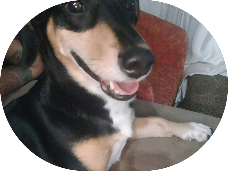 Foto 4 de Ory Odontologia