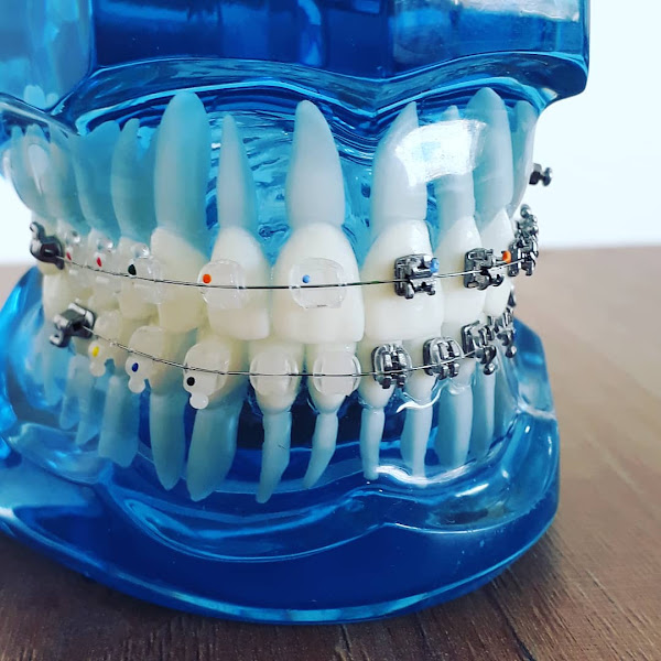 Foto 3 de Padrão Odontologia