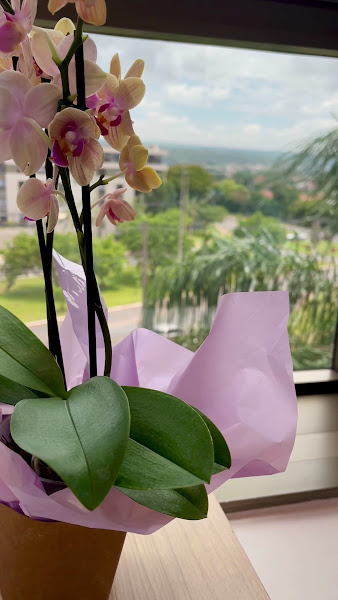 Foto 3 de Paronetto Estética