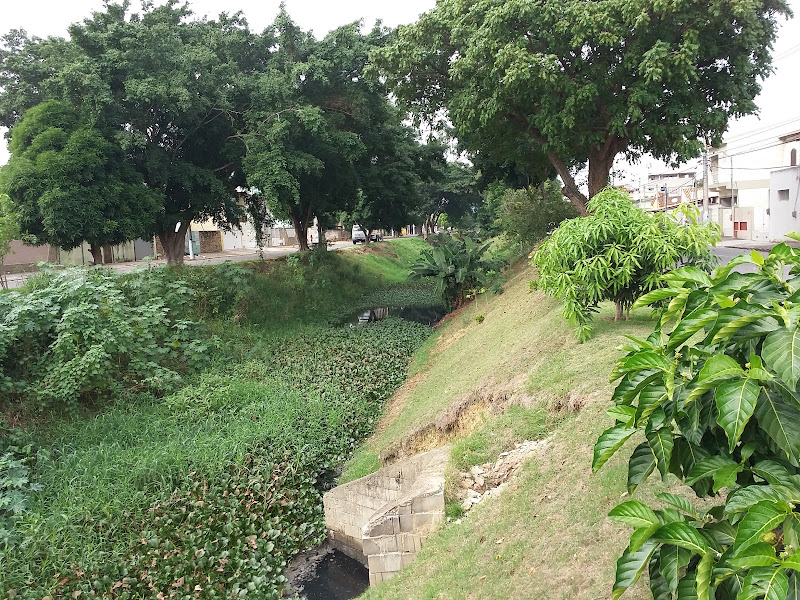 Foto 2 de Parque Jóquei Club