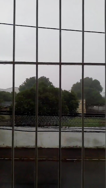 Foto 2 de Parque Leopoldina