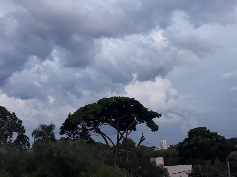 Foto de Parque Ortolândia