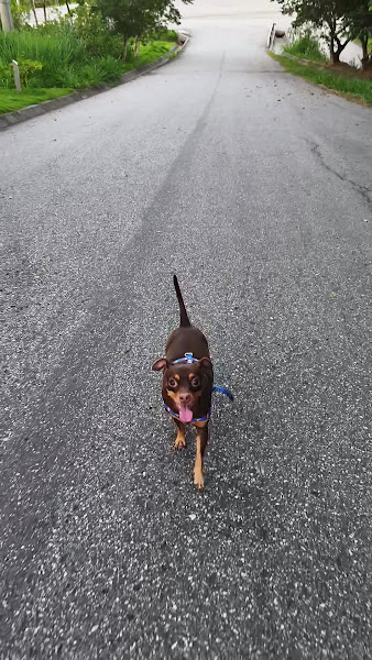 Foto 3 de Parque Radical de Deodoro