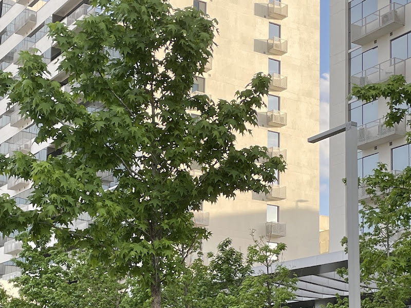 Foto 2 de Paulo Artur Donofrio Torres