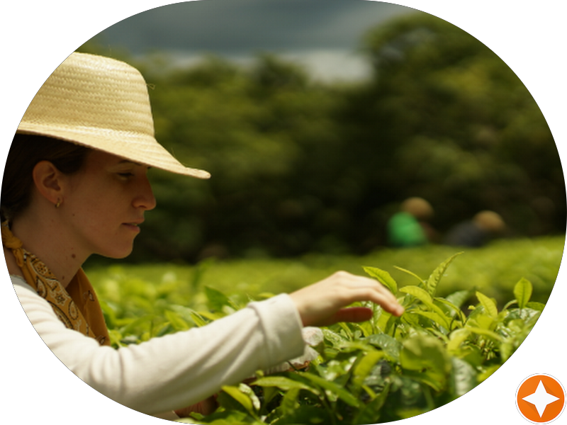 Foto 2 de PAULO EDUARDO ALVES D CAMARGO