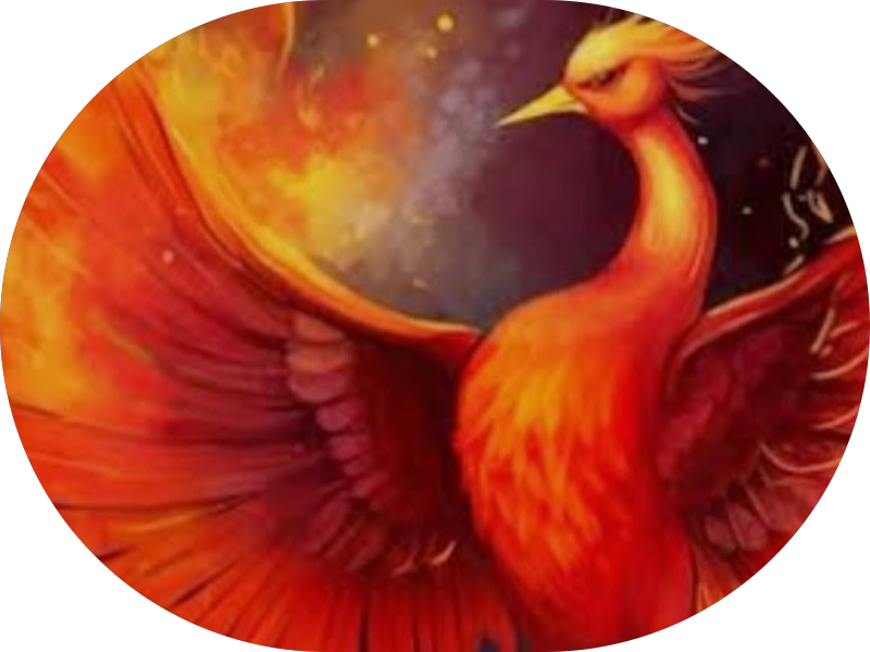 Foto 5 de Pederzoli Odontologia