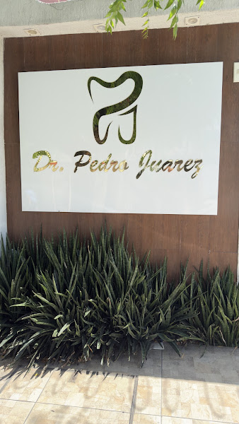 Foto 3 de Pedro Juarez