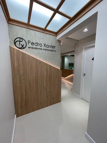 Foto 2 de Pedro Xavier | Endodontia Microscópica