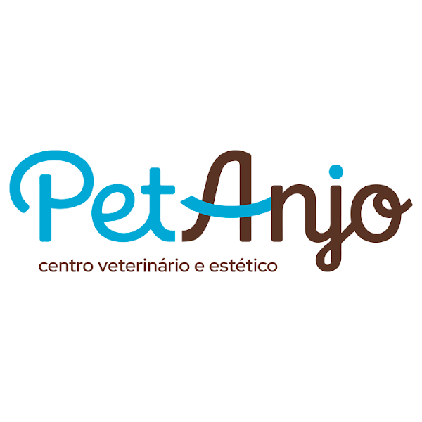 Foto 2 de Pet Anjo Salvador Rio Vermelho