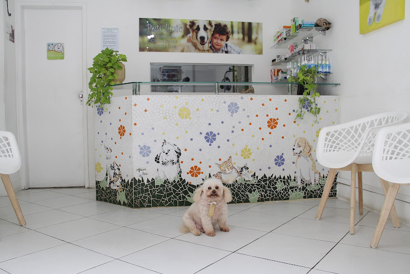 Foto 2 de Pet Clinic