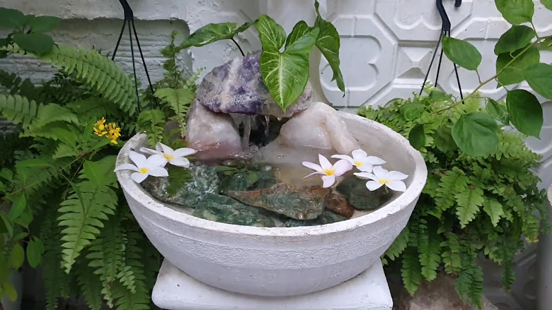 Foto 3 de Pet Clinic