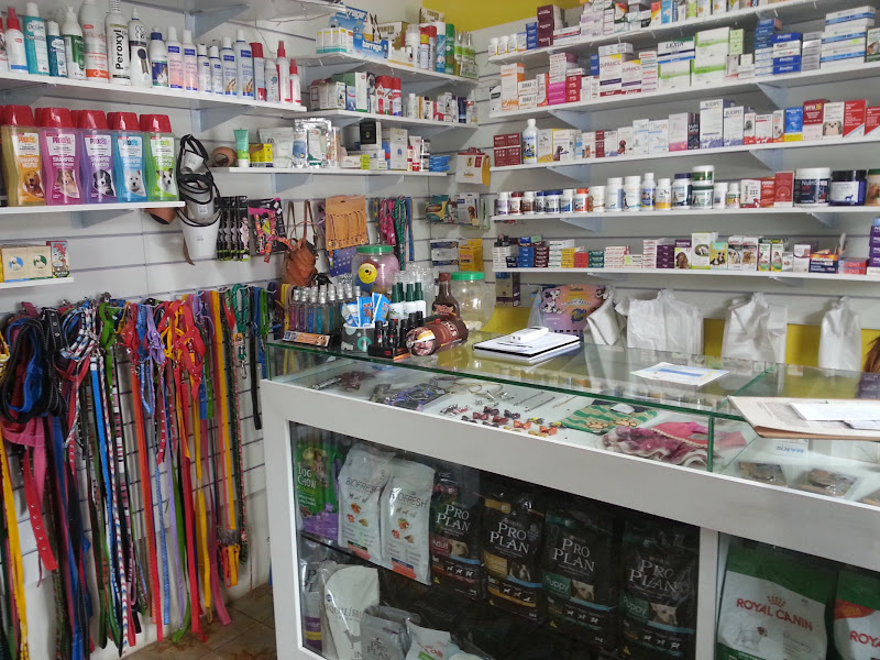 Foto de Pet Clínica CMV