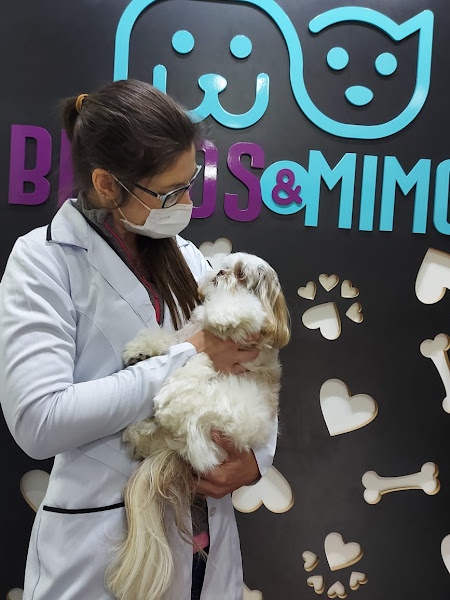 Foto 2 de Pet Sorrir Serviços Veterinários - Odontologia, Cardiologia e Anestesia Veterinária