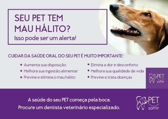 Foto 3 de Pet Sorrir Serviços Veterinários - Odontologia, Cardiologia e Anestesia Veterinária